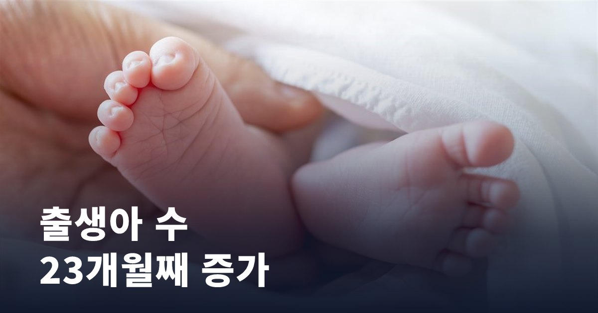 출생아 수가 23개월째 늘고 있습니다, 지금 임신을 준비한다면