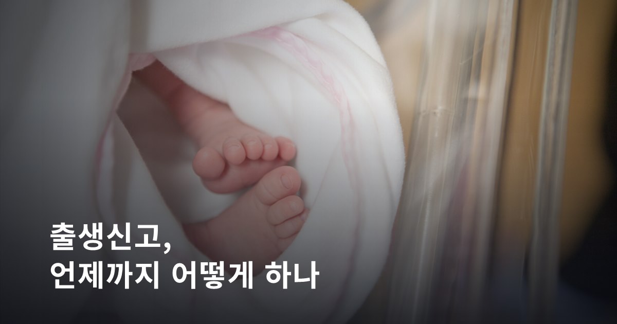 출생신고, 언제까지 어떻게 하나