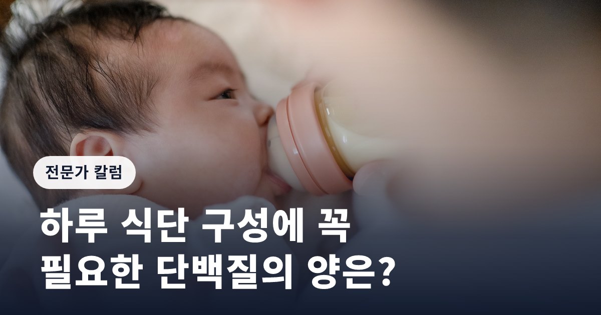 하루 식단 구성에 꼭 필요한 단백질의 양은?