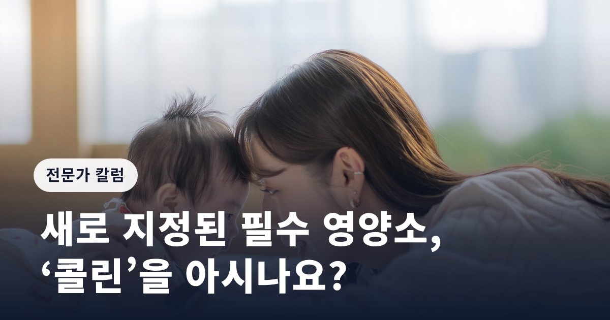 새로 지정된 필수 영양소, ‘콜린’을 아시나요?