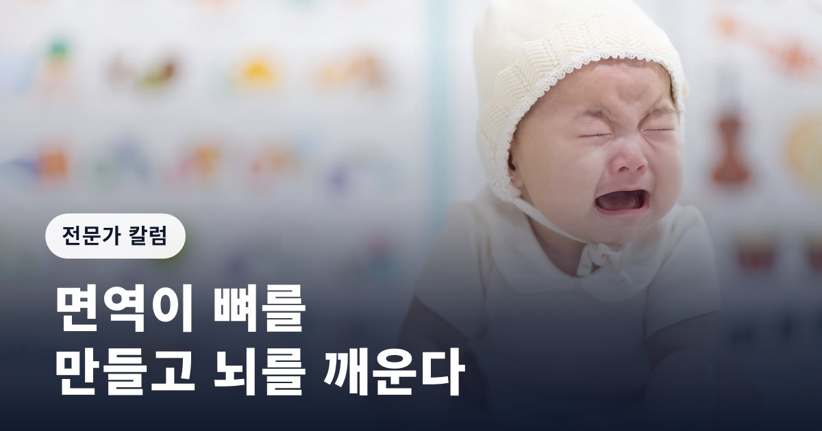 면역이 뼈를 만들고 뇌를 깨운다