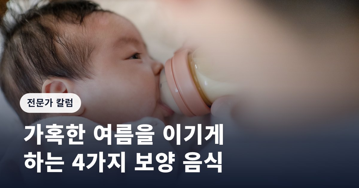 가혹한 여름을 이기게 하는 4가지 보양 음식