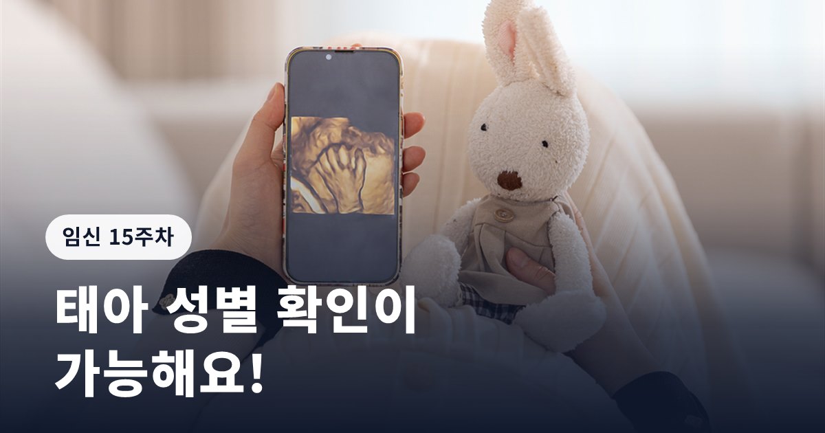 임신 15주ㅣ태아 성별 확인이 가능해요!