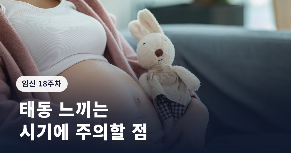 임신 18주ㅣ태동 느끼는 시기에 주의할 점
