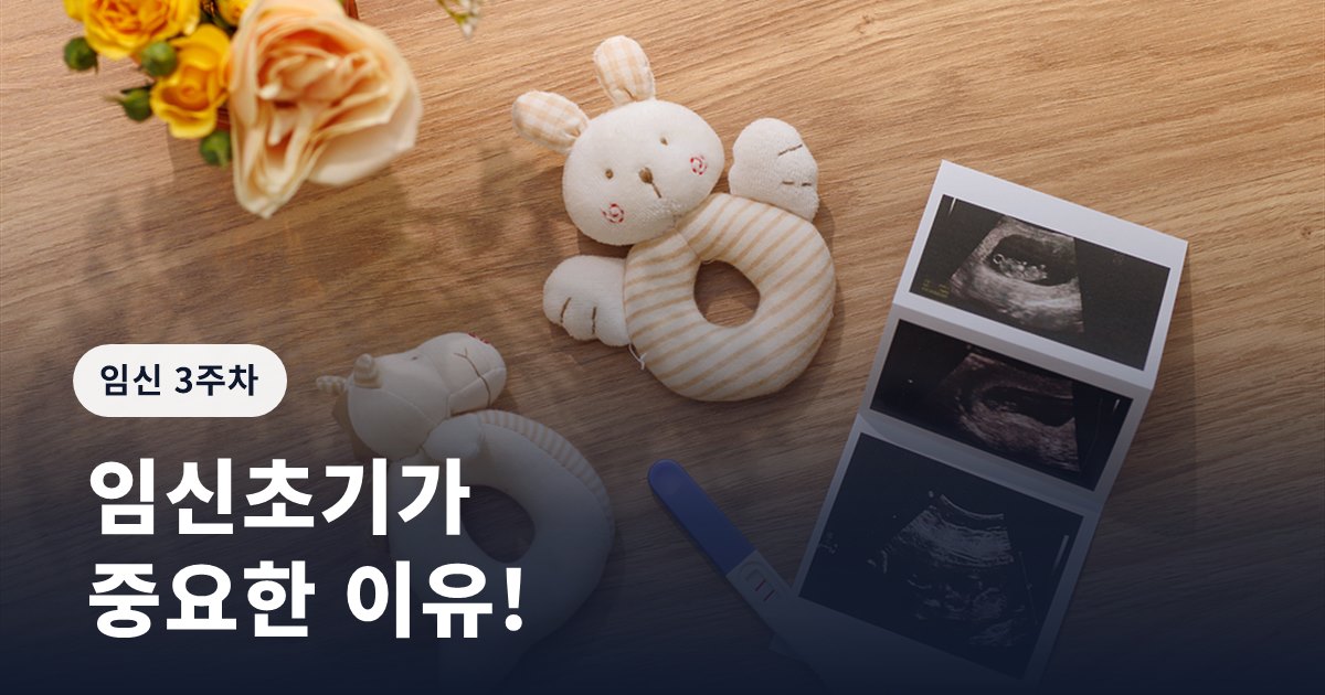 임신 3주차 증상ㅣ임신초기가 중요한 이유!