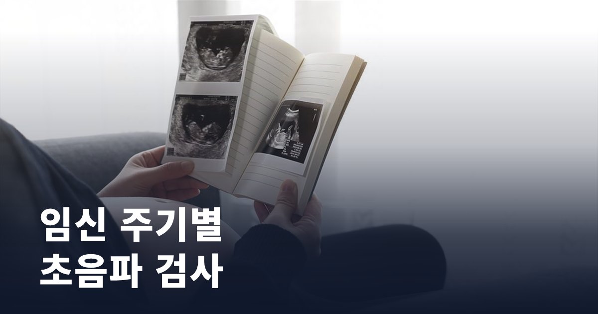 임신 주기별 초음파 검사, 놓치면 안 되는 체크포인트