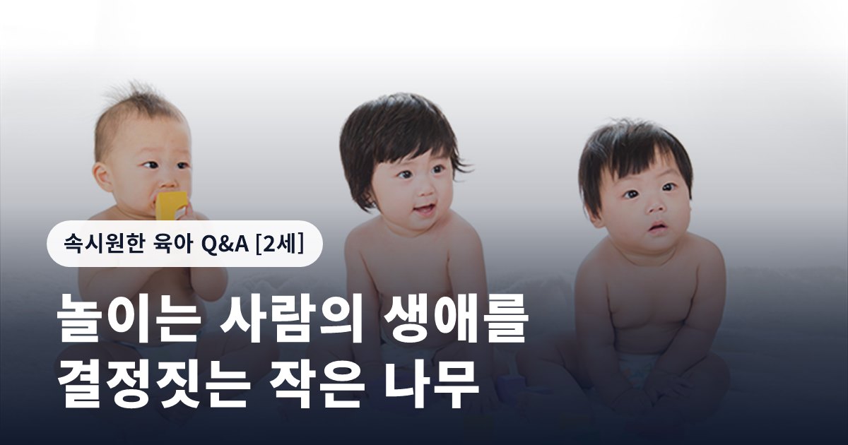 놀이는 사람의 생애를 결정짓는 작은 나무