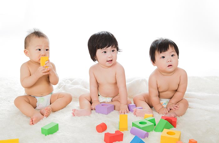 놀이는 사람의 생애를 결정짓는 작은 나무