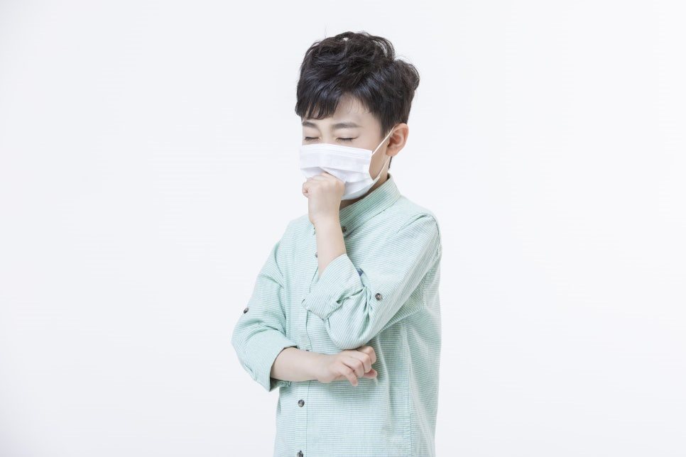 건강하고 맛있게 마셔요! 감기에 좋은 차 6