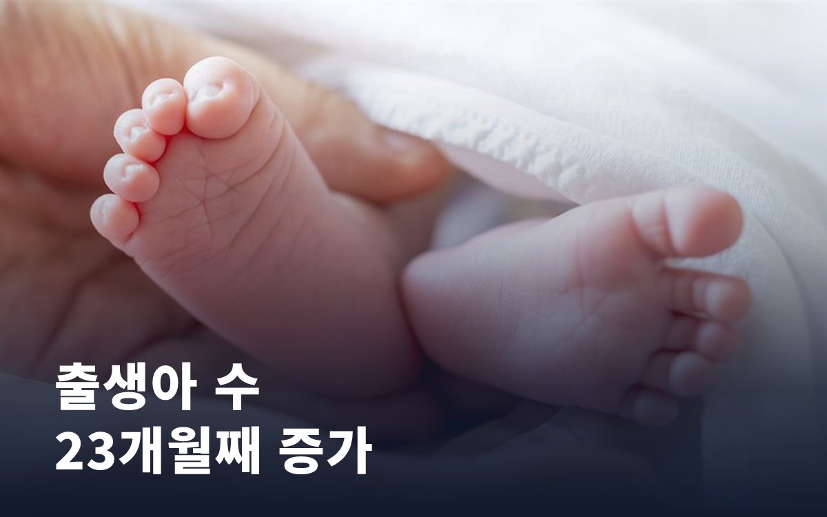 출생아 수가 23개월째 늘고 있습니다, 지금 임신을 준비한다면