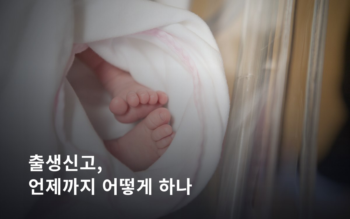 출생신고, 언제까지 어떻게 하나