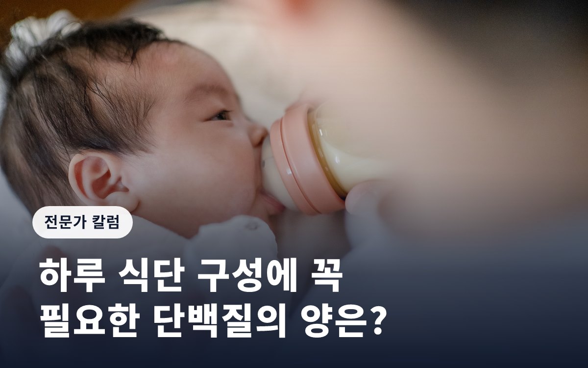 하루 식단 구성에 꼭 필요한 단백질의 양은?