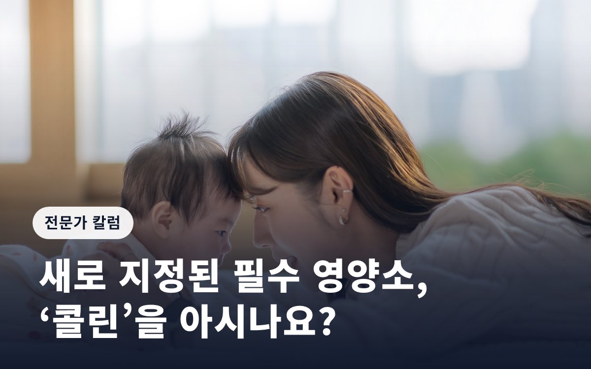 새로 지정된 필수 영양소, ‘콜린’을 아시나요?