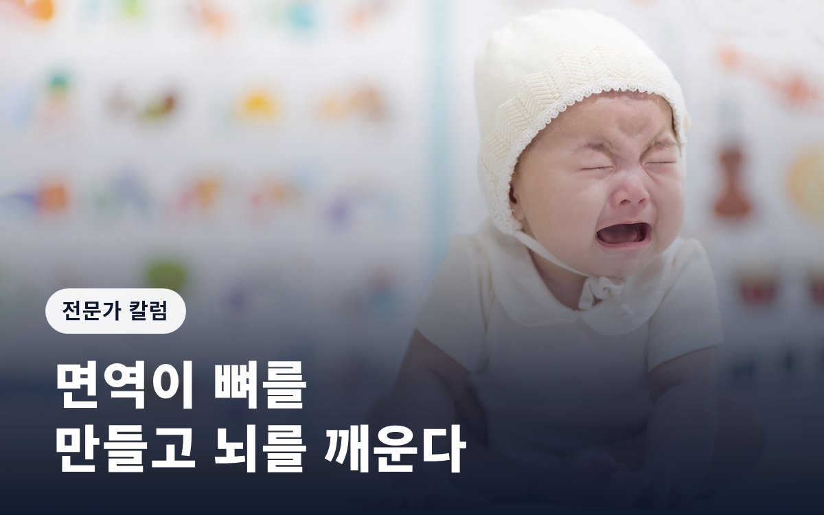 면역이 뼈를 만들고 뇌를 깨운다