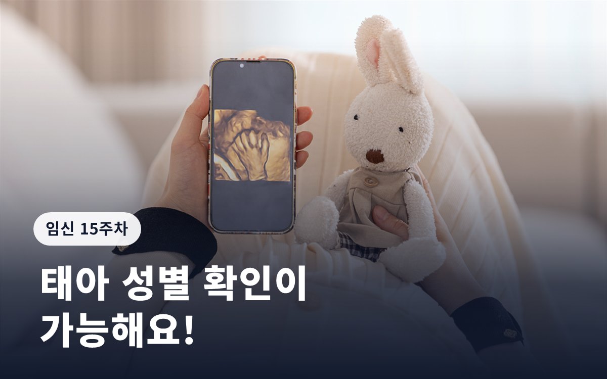 임신 15주ㅣ태아 성별 확인이 가능해요!