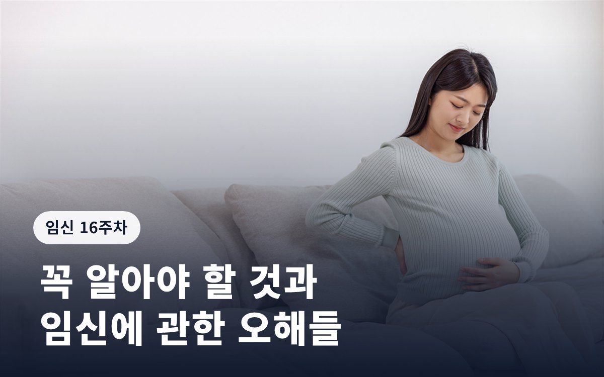 임신 16주 증상ㅣ꼭 알아야 할 것과 임신에 관한 오해들
