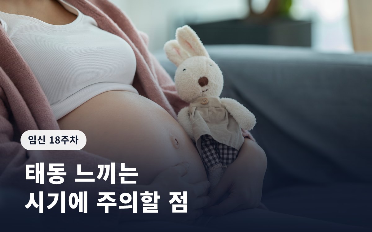 임신 18주ㅣ태동 느끼는 시기에 주의할 점