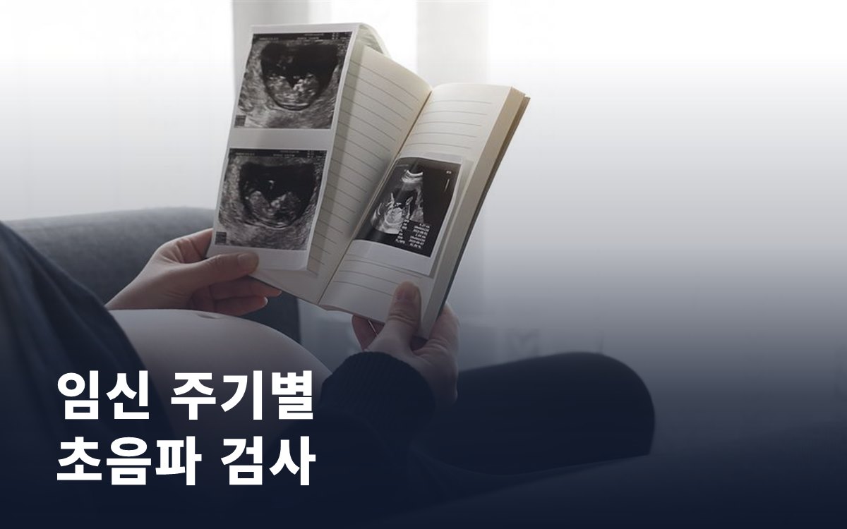 임신 주기별 초음파 검사, 놓치면 안 되는 체크포인트