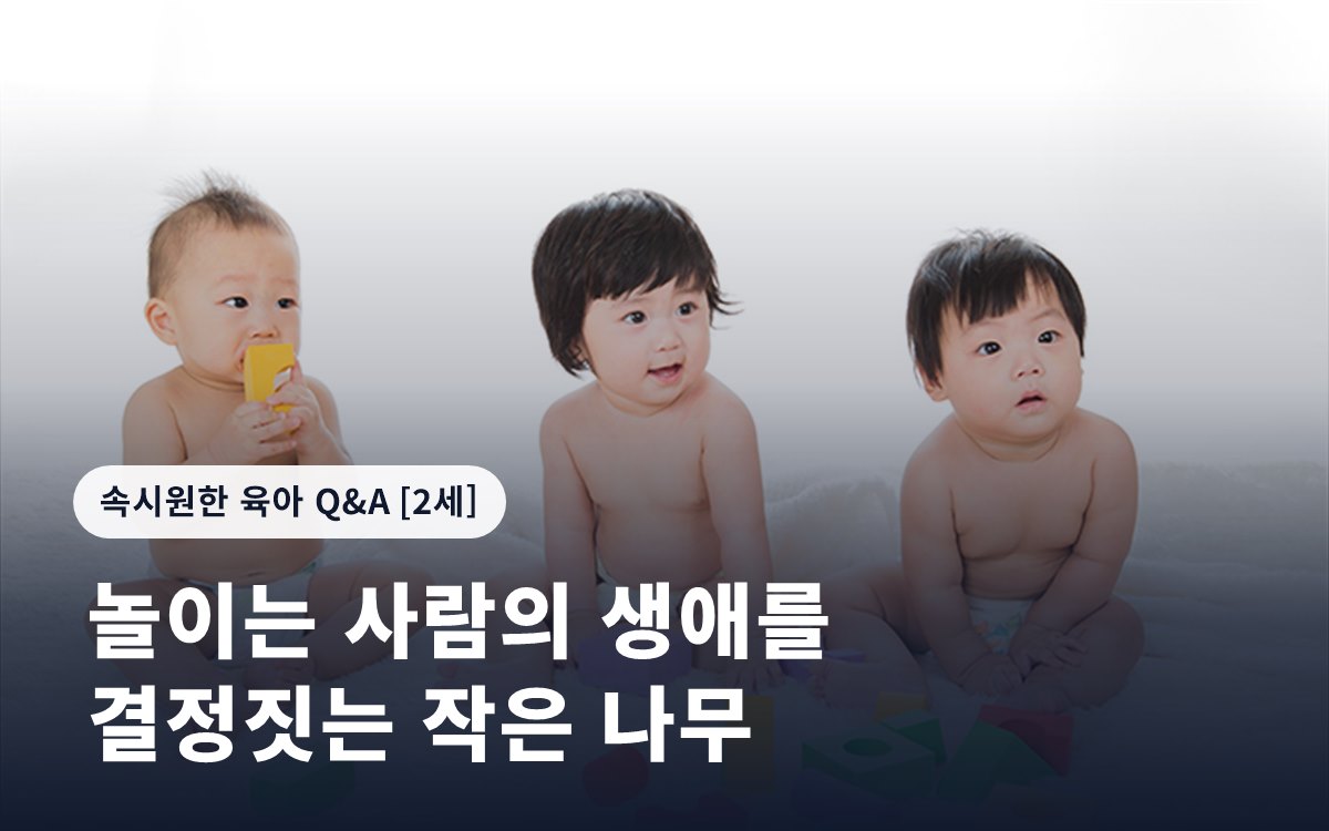 놀이는 사람의 생애를 결정짓는 작은 나무